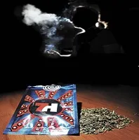 k2 paper